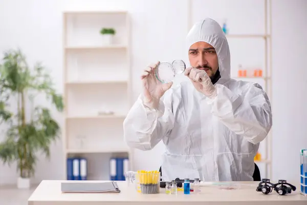 Jonge Chemicus Werkzaam Het Lab Tijdens Pandemie — Stockfoto