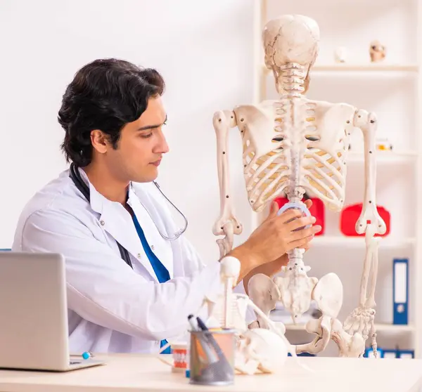 Joven Doctor Con Esqueleto —  Fotos de Stock