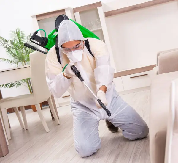 在公寓工作的虫害防治承包商 — 图库照片