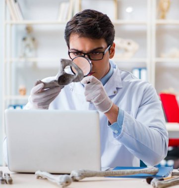 Profesör laboratuvarda insan iskeletini inceliyor.