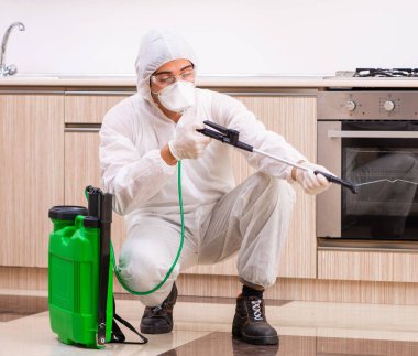 Mutfakta haşere kontrolü yapan profesyonel müteahhit.