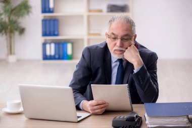 Old employee working at workplace