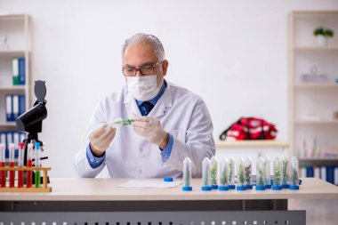 Uyuşturucu sentezi konseptinde eski bir kimyager.