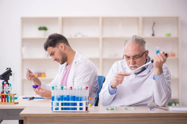 Two Chemists Working Lab — Stock Photo, Image