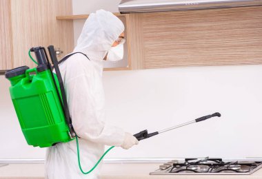 Mutfakta haşere kontrolü yapan profesyonel müteahhit.