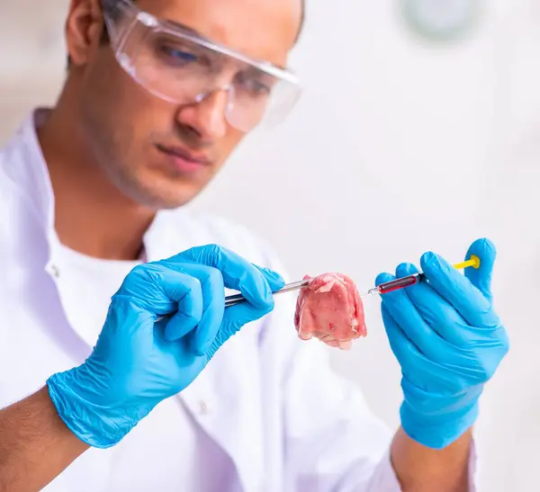 Young Nutrition Expert Testing Food Products Lab — Stock Photo, Image