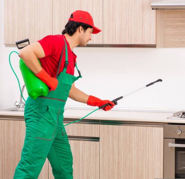 The professional contractor doing pest control at kitchen clipart