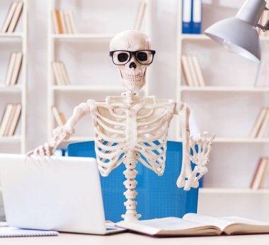 Öğrenci iskeleti sınavlara hazırlanıyor.