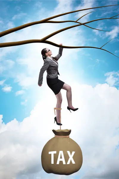 Businesswoman Hanging Tree Branch — Stock Photo, Image