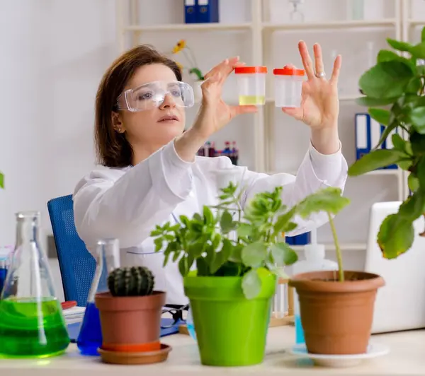 Oude Vrouwelijke Biotechnologie Chemicus Die Het Lab Werkt — Stockfoto