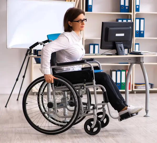 Ofisteki Tekerlekli Sandalyedeki Kadın Çalışan — Stok fotoğraf