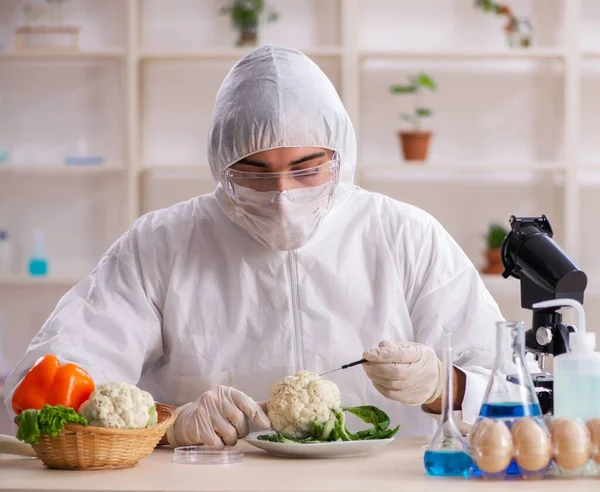 在实验室工作的科学家正在研究Gmo水果和蔬菜 — 图库照片