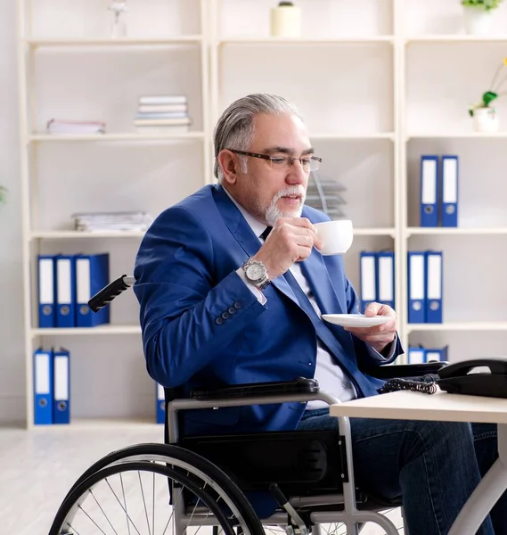 Aged Employee Wheelchair Working Office — Stock Photo, Image