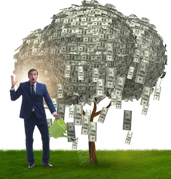 Empresário Molhando Árvore Dinheiro Conceito Investimento — Fotografia de Stock