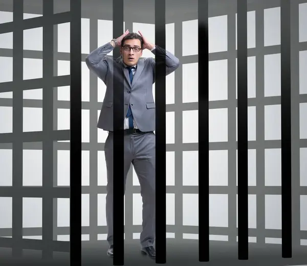 Businessman Cage Business Concept — Stock Photo, Image