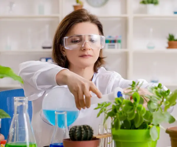 Vecchio Chimico Biotecnologia Femminile Che Lavora Laboratorio — Foto Stock