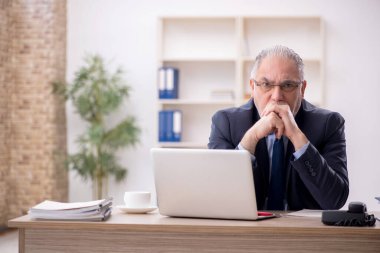 Old employee working at workplace