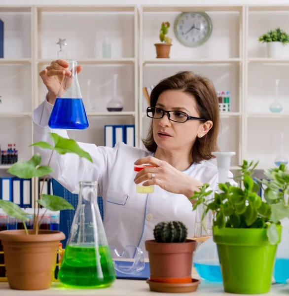 Old Female Biotechnology Chemist Working Lab — Stock Photo, Image