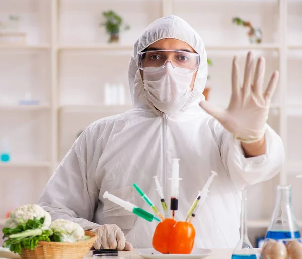 Scientifique Travaillant Laboratoire Sur Les Fruits Légumes Glande — Photo