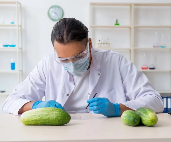 实验室里检测蔬菜的男性营养专家 — 图库照片