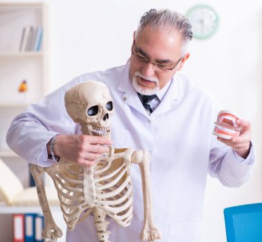 İskeleti olan yaşlı erkek doktor.