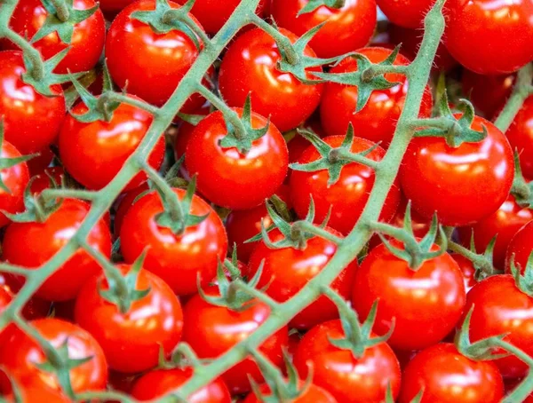 The tomatoes at the market display stall