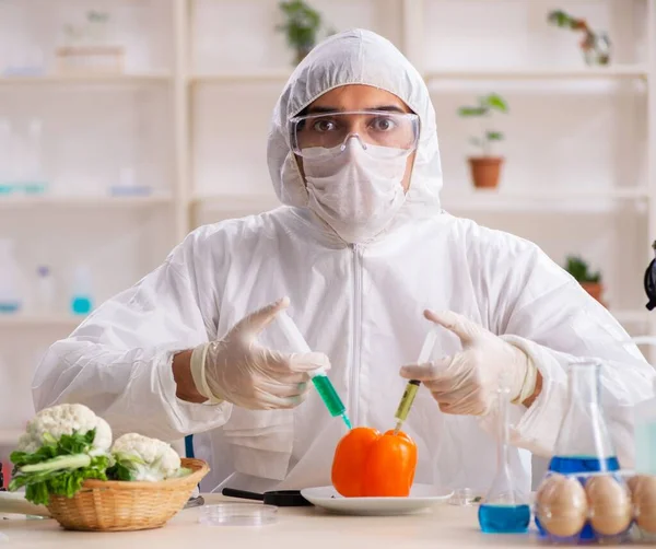 Científico Que Trabaja Laboratorio Gmo Frutas Verduras —  Fotos de Stock