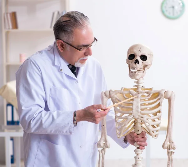 Skeleti Olan Yaşlı Erkek Doktor — Stok fotoğraf