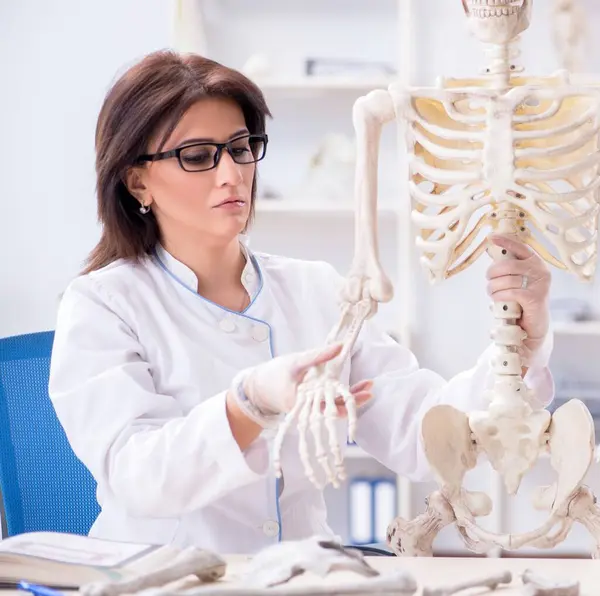 Médecin Qui Travaille Labo Sur Squelette — Photo