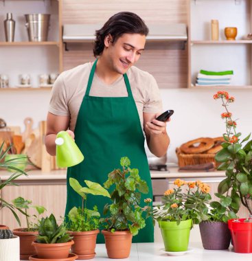 Genç yakışıklı adam evde çiçek yetiştiriyor.