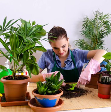 Evin içinde bitkileri olan genç bayan bahçıvan.