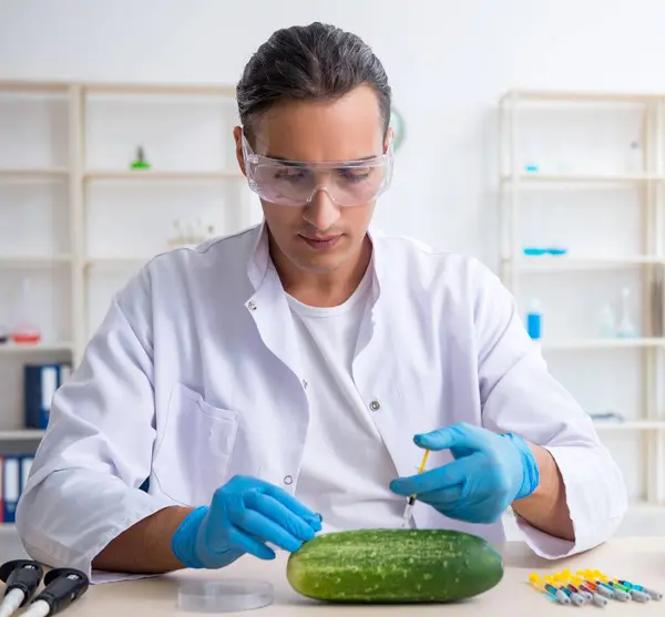 Gli Esperti Nutrizione Maschile Testano Verdure Laboratorio — Foto Stock