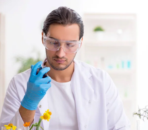 Young Chemist Perfume Synthesis Concept — Stock Photo, Image