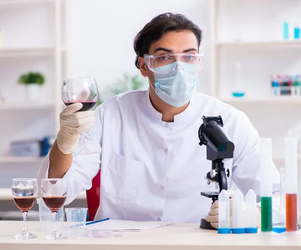 Male Chemist Examining Wine Samples Lab — Stock Photo, Image