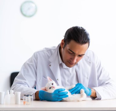 Genç erkek doktor hasta kediyi muayene ediyor.