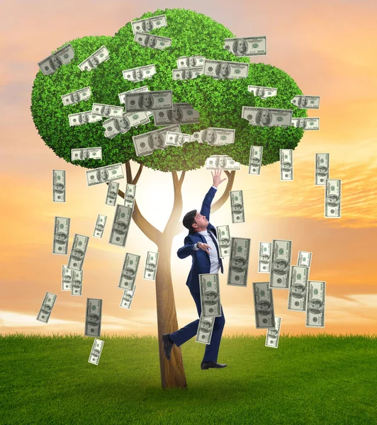 The businessman with money tree in business concept