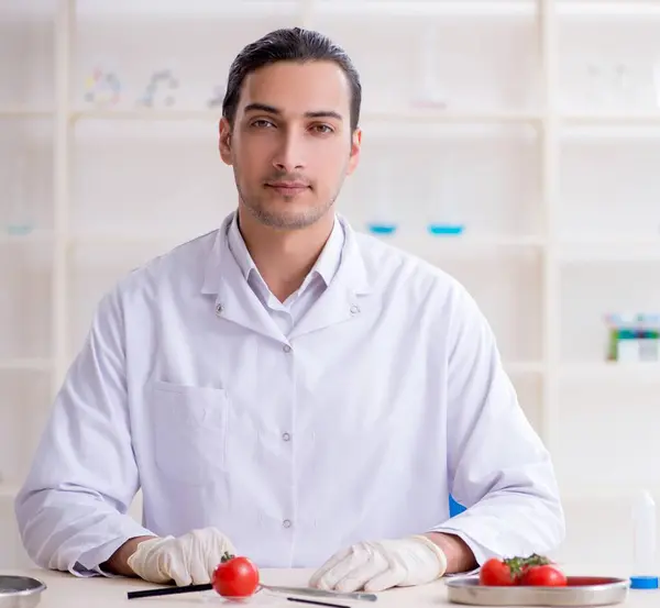 Experto Nutrición Masculina Probando Productos Alimenticios Laboratorio —  Fotos de Stock