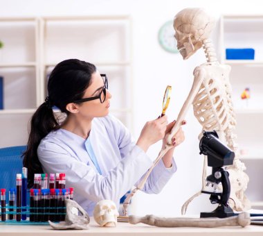 Laboratuvarda çalışan genç bayan arkeolog.