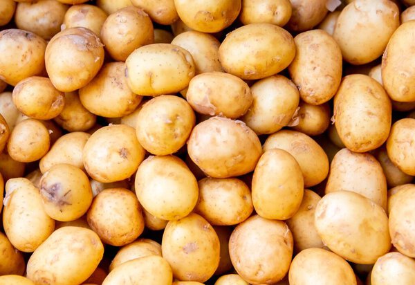 The potatoes at the market display