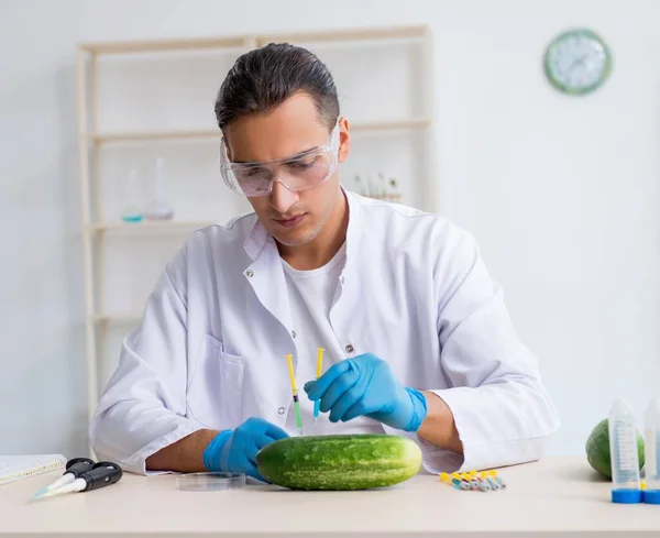 Der Männliche Ernährungsexperte Testet Gemüse Labor — Stockfoto