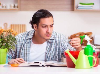 Genç yakışıklı adam evde çiçek yetiştiriyor.