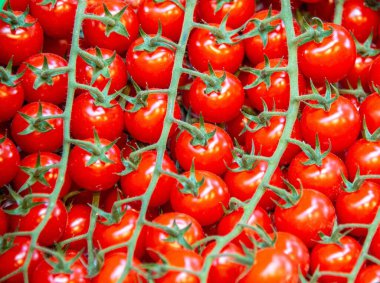 Marketteki domatesler.