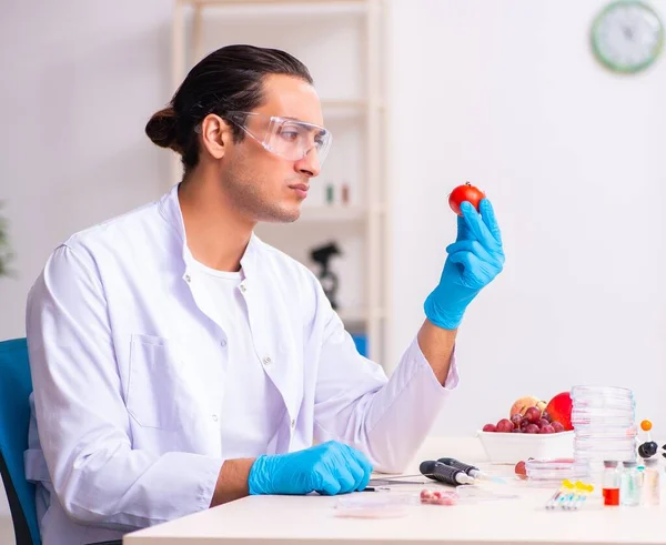 전문가가 실험실에서 식품을 검사하는 — 스톡 사진