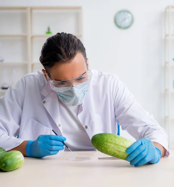 Male Nutrition Expert Testing Vegetables Lab — Stock Photo, Image