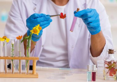 Parfüm sentezi konseptinde genç bir kimyager