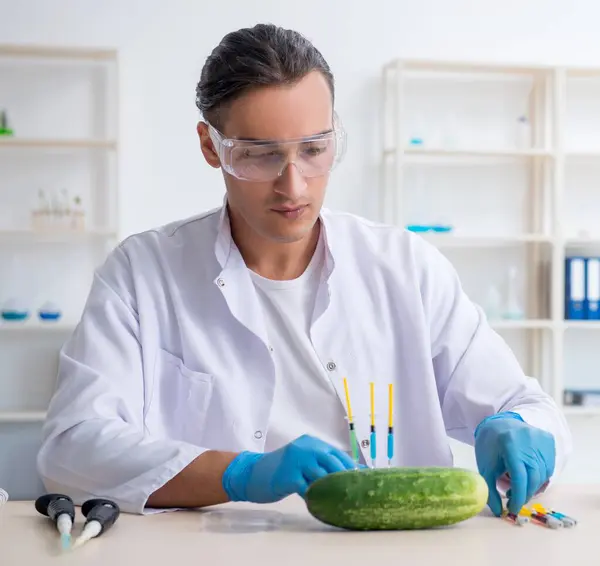 Expert Samčí Výživu Testuje Zeleninu Laboratoři — Stock fotografie