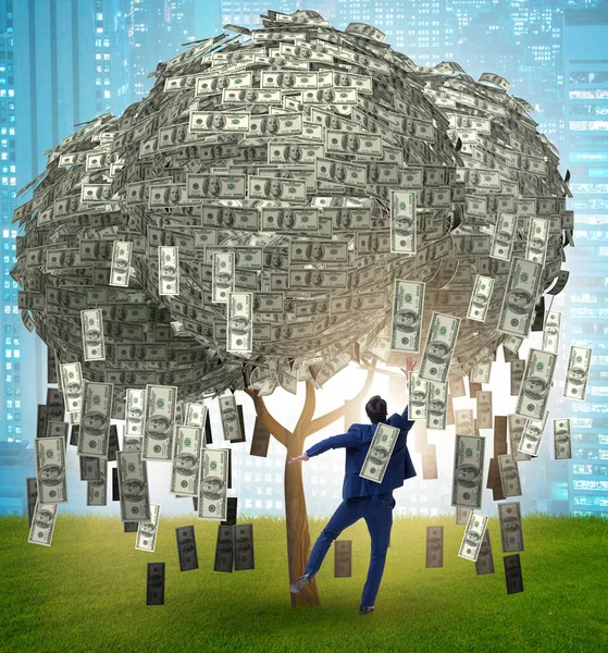 The businessman with money tree in business concept