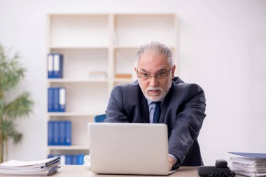 Old employee working at workplace