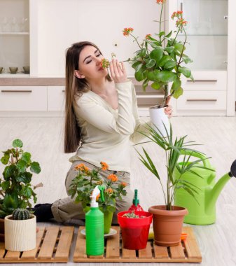 Evin içinde bitkileri olan genç bayan bahçıvan.