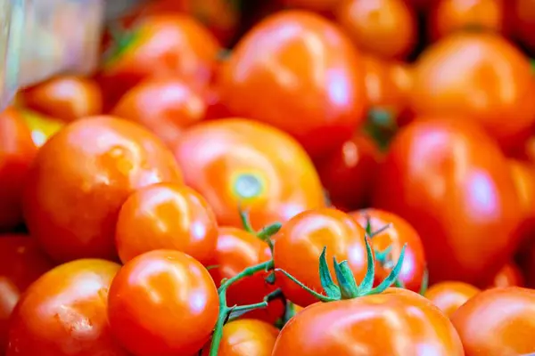 Tomates Banca Exibição Mercado — Fotografia de Stock